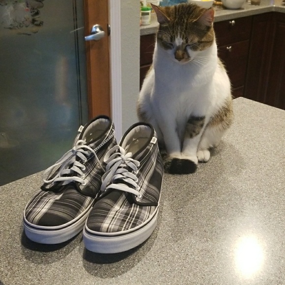 Vans Other - Vans shoes